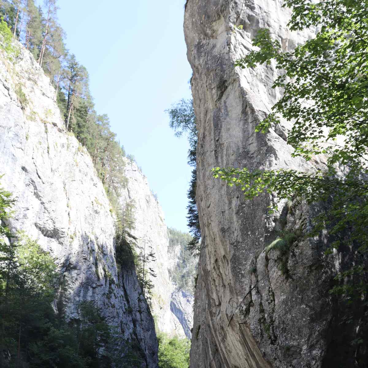 Img 0895