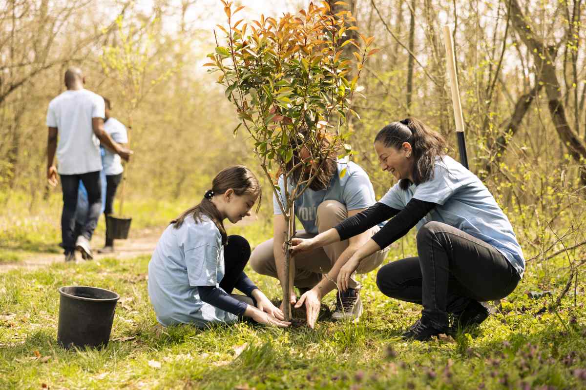 Volunteers Little Kid Planting Tree Covering Hole Ground