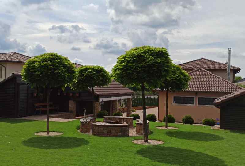 Kis Takaros