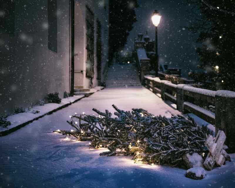 Christmas 2059698 1280