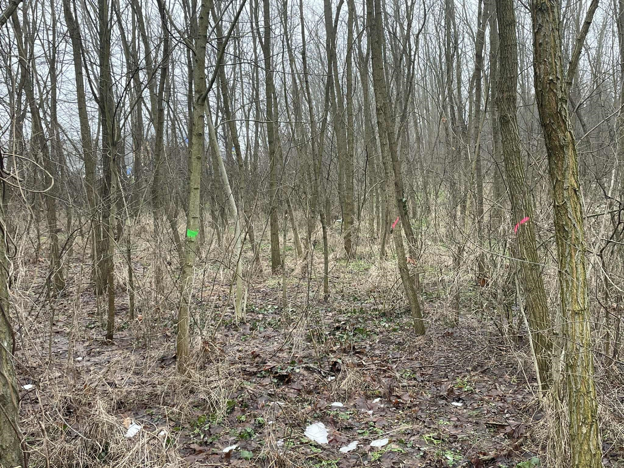 9d9db823 9a18 4385 Be87 8cc6809a0bef