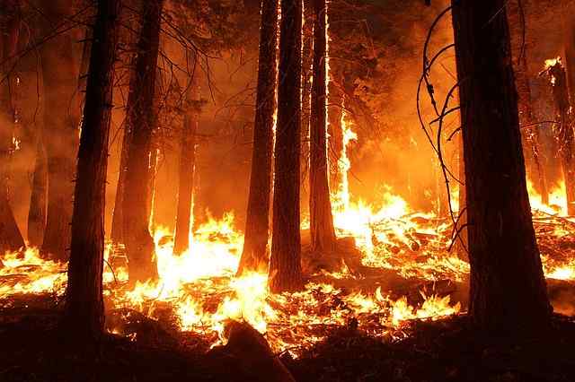 Wildfire 1105209 640