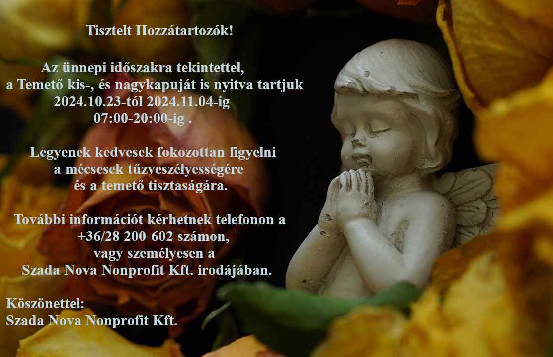 Temet Plaktkp Nov1