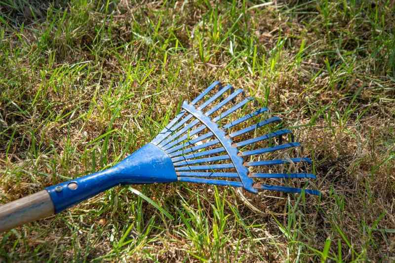 Leaves Broom 3406799 960 720