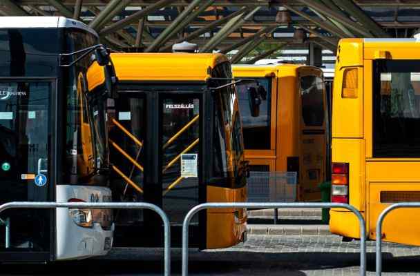 Volnbusz