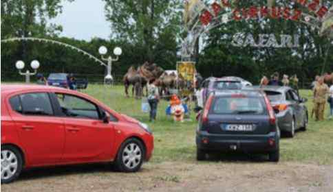Szafari