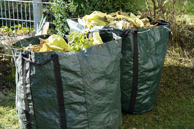Garden Waste 1047259 1920