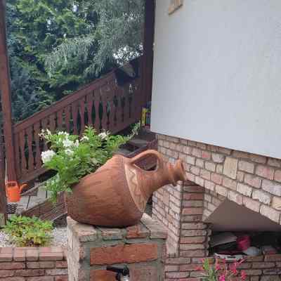 Img 20230809 172600