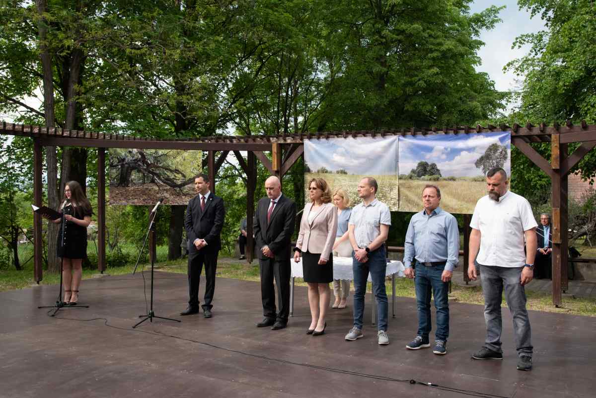 Somlyaisiposszilvia Foto 36