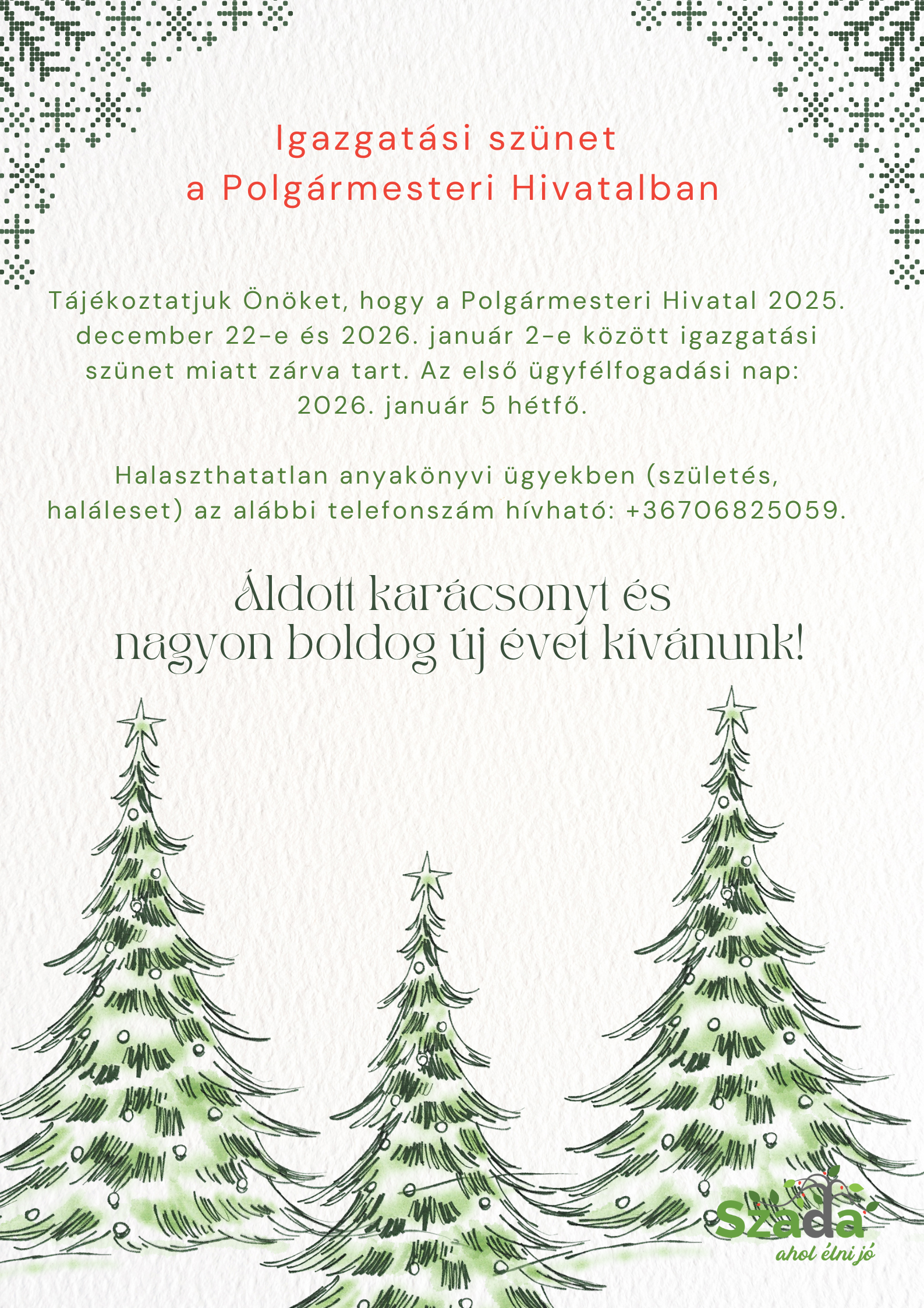 Green And White Modern Special Christmas Day Sale Poster